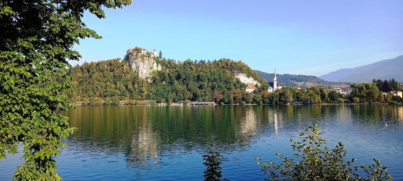 Dingsbums Daire Unteraichwald Dış mekan fotoğraf